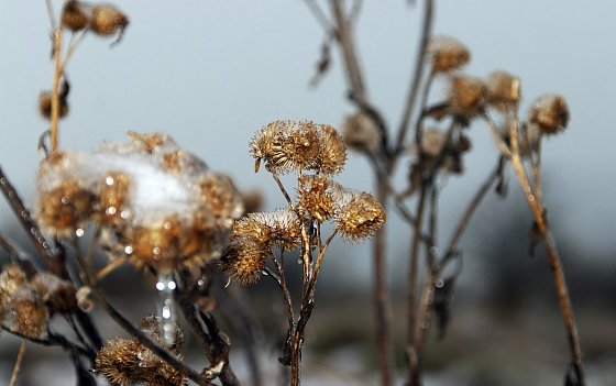 Bild: Wetterbild