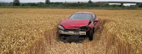 Bild: Kein Bett im Kornfeld