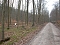 Fundort dicht am Wege Fundort dicht am Wege