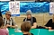 Autogrammstunde beFour in Nordhausen. nnz-City Scout on Tour