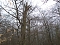 Am Ententeich im Kyffh&auml;userwald