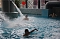 Pool-Party im Badehaus.NNZ-City Scout on Tour