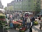 Pflanzenmarkt am Sonntag