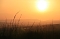 Sonnenuntergang - fotografiert vom Hainer Berg