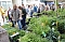 Gr&uuml;nes Innenstadtfest Bad Langensalza