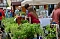 Gr&uuml;nes Innenstadtfest Bad Langensalza