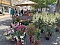 Gr&uuml;nes Innenstadtfest Bad Langensalza