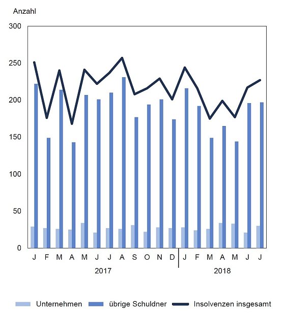 Bild: Gemeldete Insolvenzverfahren von Januar 2017 bis Juli 2018
