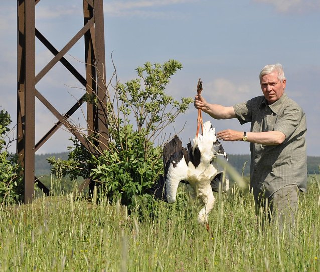 Bild: Todesfalle Stromnetz