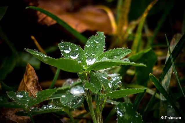 Bild: Wetterbild
