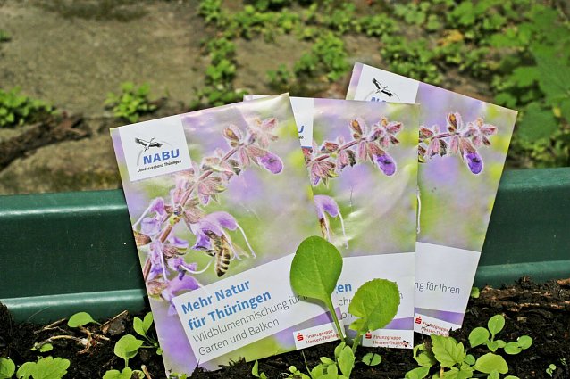 Bild: Mehr Natur f&uuml;r Th&uuml;ringen - der NABU will zum Geburtstag 10.000 T&uuml;ten voller Wildblumensamen verteilen
