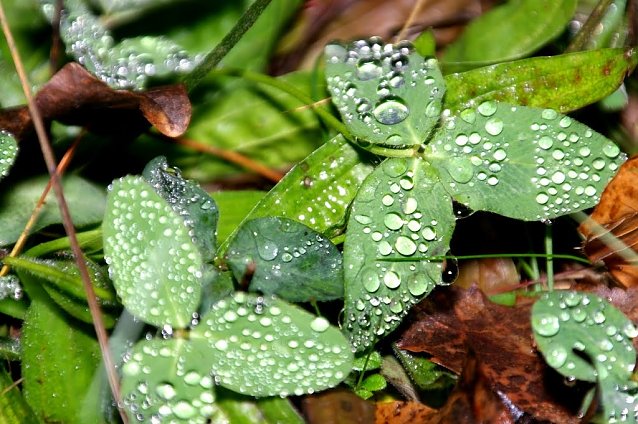 Bild: Wetter-Bild