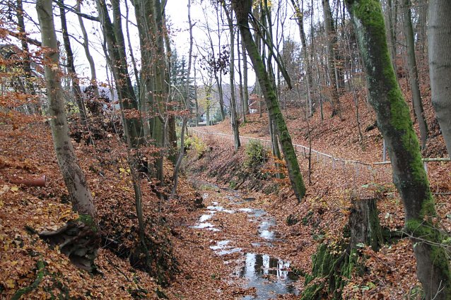 Bild: Wetterbild