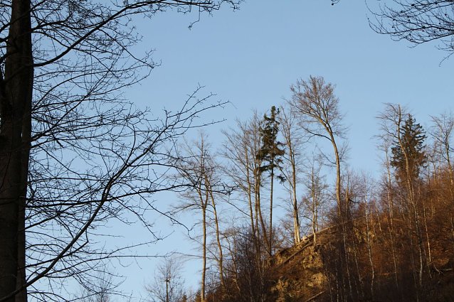Bild: Warm wie noch nie  - der Dezember 2015