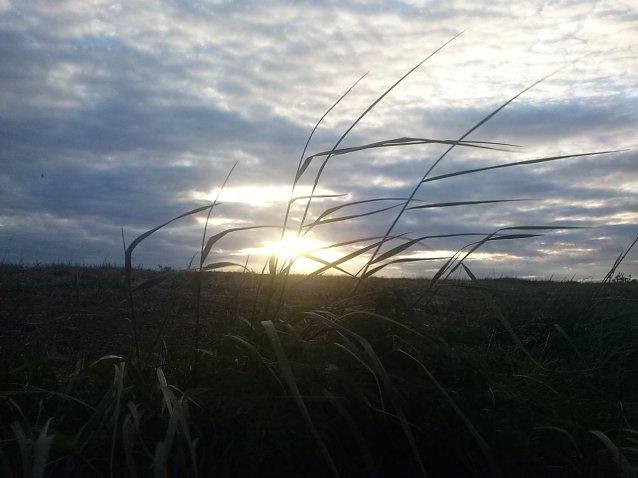Bild: Wetterbild