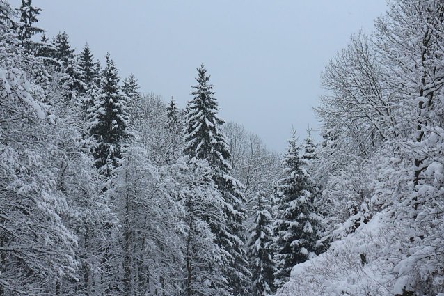 Bild: Wetterbild