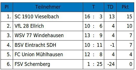 Bild: Hallencup des BSV Eintracht der D-Junioren