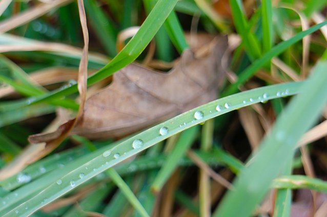 Bild: Wetterbild