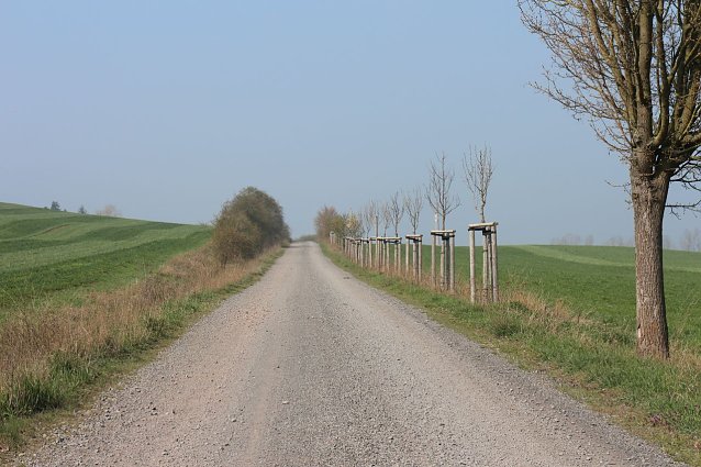 Bild: Wetterbild