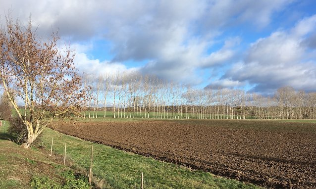 Bild: wetter