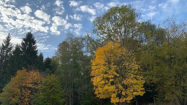 Bild: Wetter 