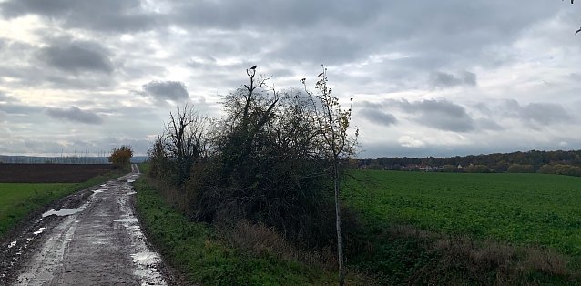 Bild: wetter