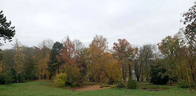 Bild: wetter