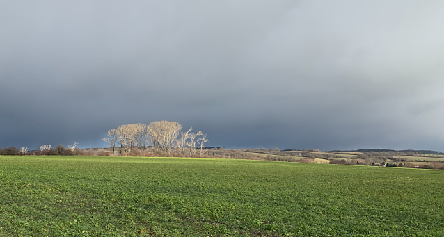 Bild: Wetterbild