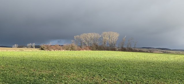 Bild: wetter