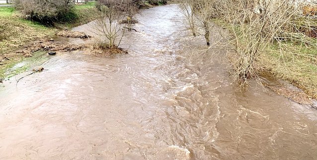 Bild: wetter