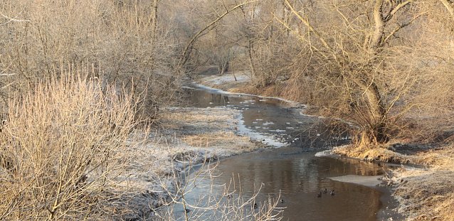 Bild: wetter