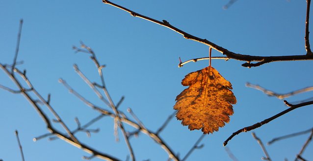 Bild: wetter