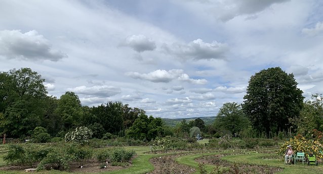 Bild: Rosengarten Sangerhausen