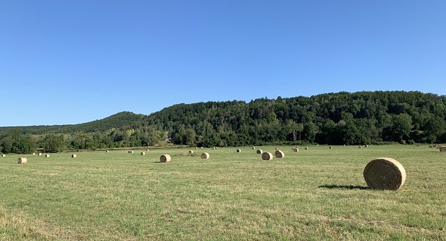 Bild: Blick auf den Kohnstein in Nordhausen 