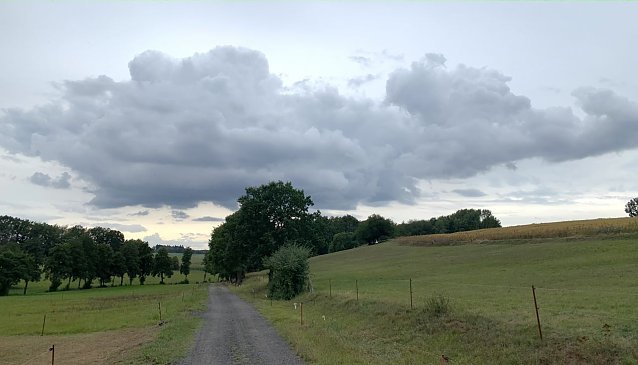 Bild: Bei Limlingerode