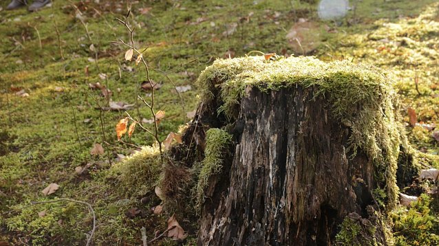 Bild: Wetterbild