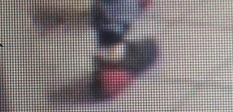 Bild: Wer erkennt die Einbrecher?