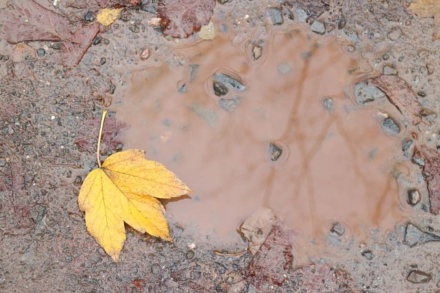 Bild: Wetterbild