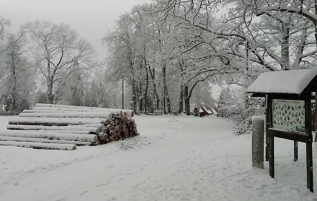 Bild: Sophienhof im Winterkleid
