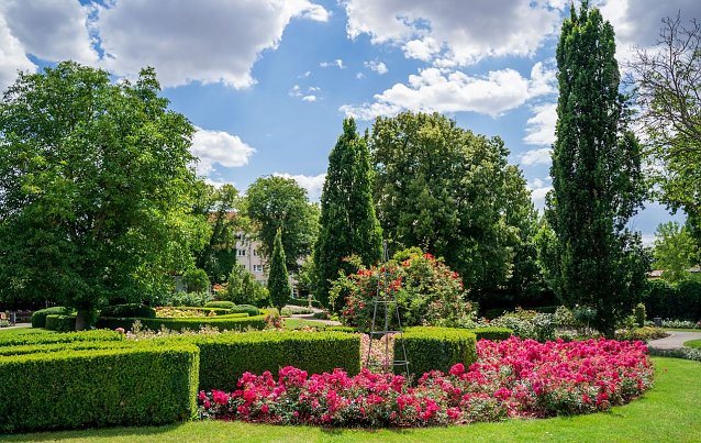 Bild:  Der Rosengarten in voller Pracht