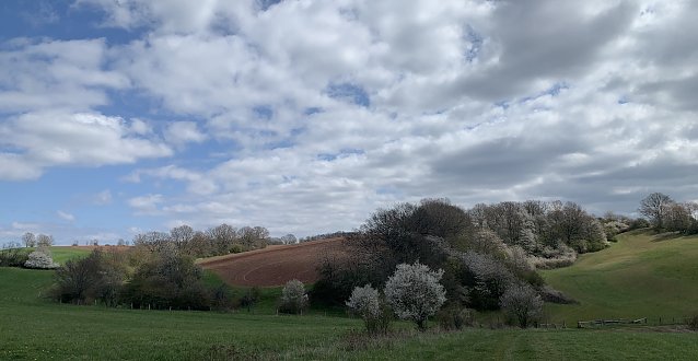 Bild: An der Gumpe bei Nordhausen