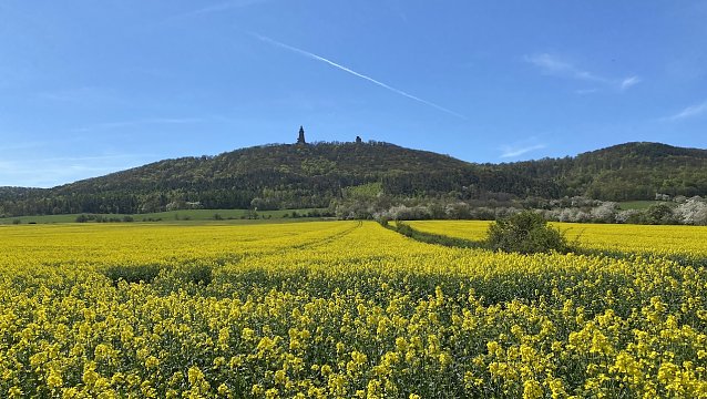 Bild: Blick zum Kyffh&auml;user