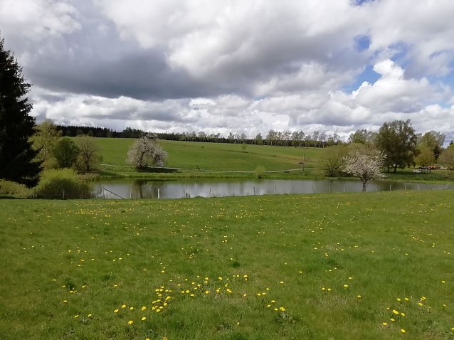 Bild: Wolkig in der H&ouml;he - unser Wetterbild kommt heute aus Sophienhof