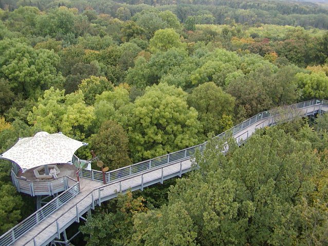 Bild: Baumkronenpfad im Nationalpark Hainich