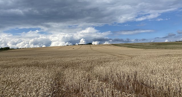 Bild: In der Windl&uuml;cke