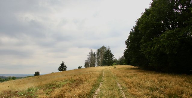 Bild: Wetterbild