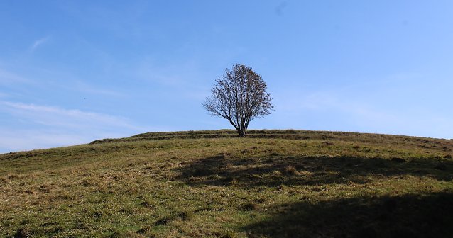 Bild: Bei Benneckenstein