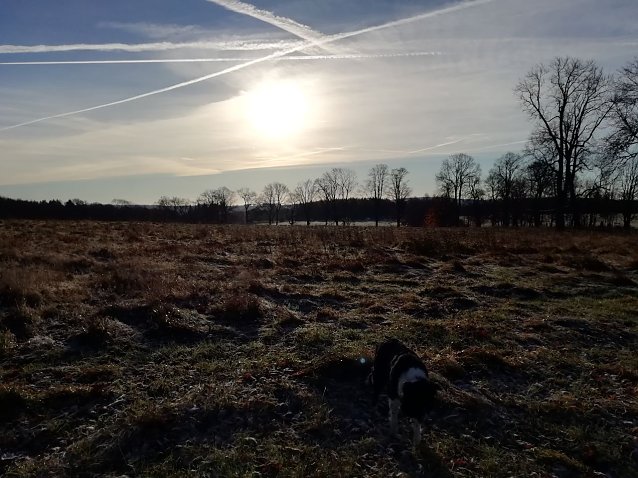 Bild: Frost in den Hochlagen bis weit in den Vormittag 