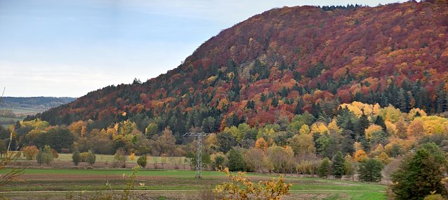 Bild: W&auml;lder haben vielf&auml;ltige Funktionen, alle von gro&szlig;er Bedeutung � Klimaschutz und Biodiversit&auml;t d&uuml;rfen diese Multifunktionalit&auml;t nicht zur Zweifunktionalit&auml;t herabsetzen
