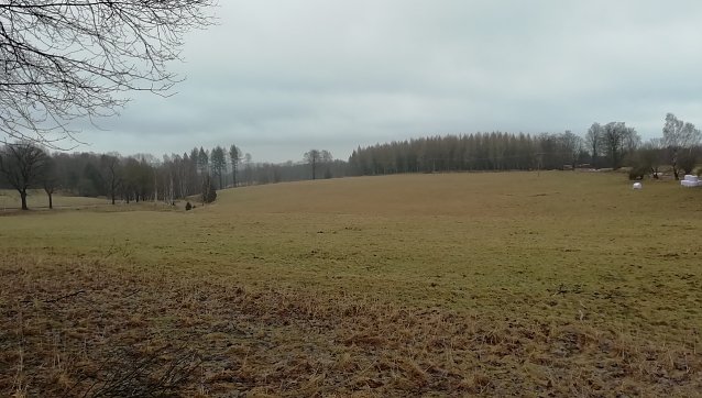 Auch der Hochharz ist bei 2 Grad wieder schneefrei Foto: W.J&ouml;rgens